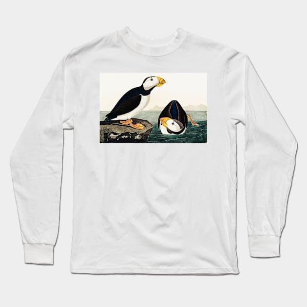 Bird of America  Bird, bird lover, america, beautiful  Public domain painting by John James Audubon Long Sleeve T-Shirt by RosMir